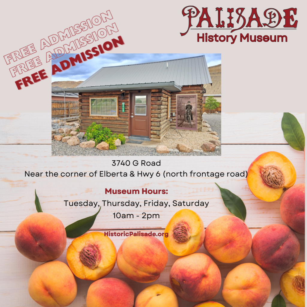 Free Admission. Normal Hours Tues, Thurs, Fri and Saturday 10am to 2pm.